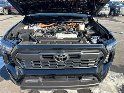 2025 Toyota Tacoma Hybrid TRD Sport