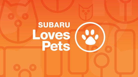 Fitzgerald Subaru Rockville in Rockville MD