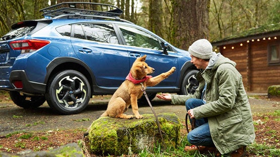 Fitzgerald Subaru Rockville in Rockville MD