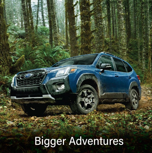 A blue Subaru outback wilderness with the words &ldquo;Bigger Adventures&ldquo;. | Fitzgerald Subaru Rockville in Rockville MD