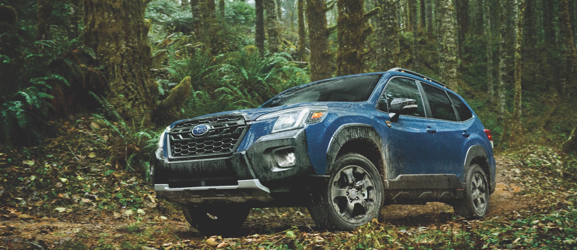 Subaru forester wilderness front view