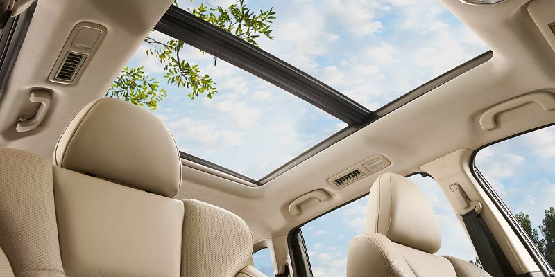 Ascent Model roof top view