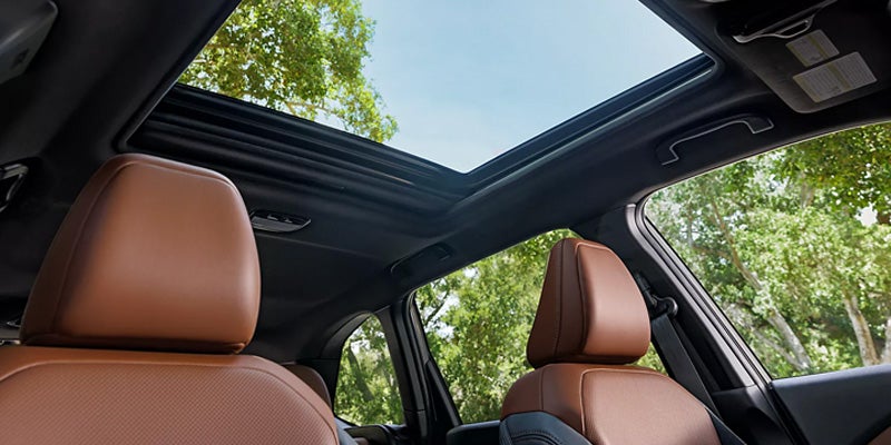 Subaru Forester model roof top view