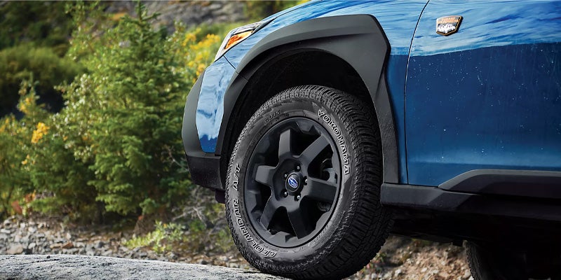 Outback Wilderness model Exterior side view