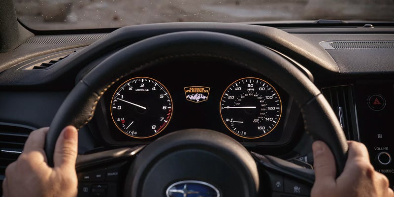 Outback Wilderness model interior display view