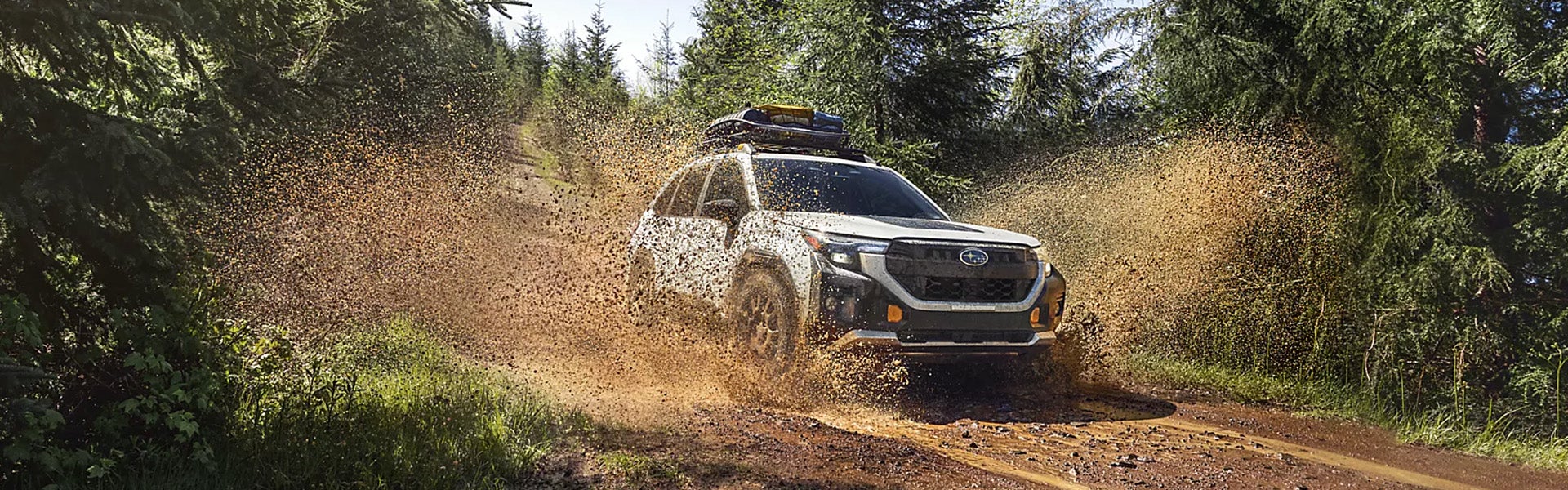 2026 Subaru Forester in Rockville, MD