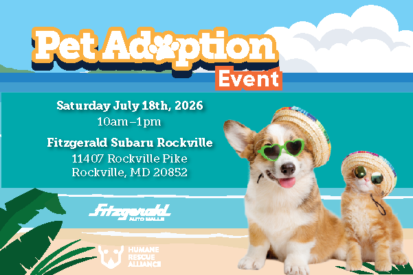 pet adoption event