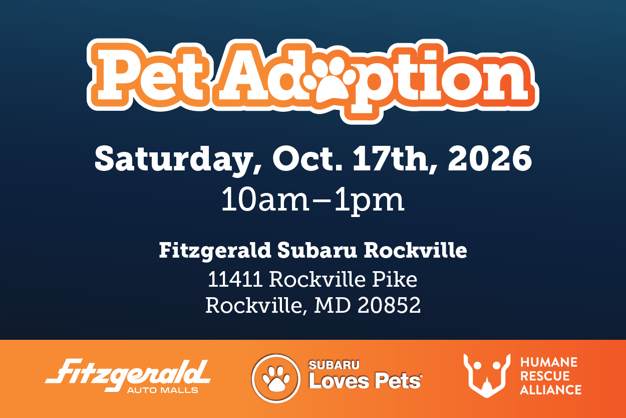 pet adoption subaru rockville